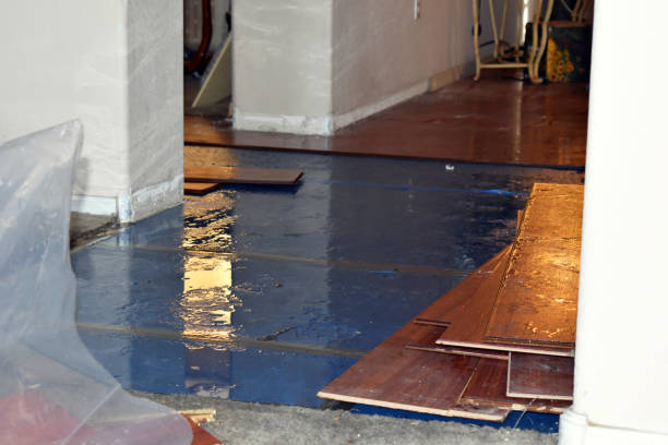 Professional Water Damage Restoration technician working in Howell, MI