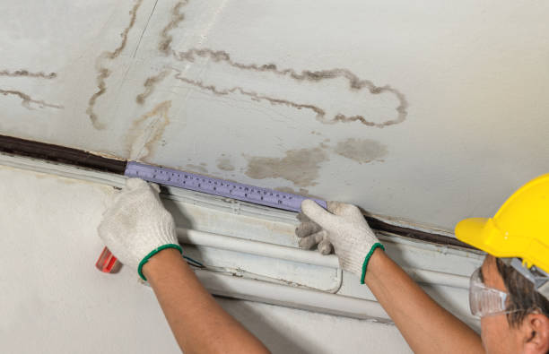 Reliable Water Damage Restoration contractor in Howell, MI by Water Damage Irwin